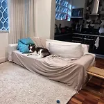 Casa Completa Em Botafogo