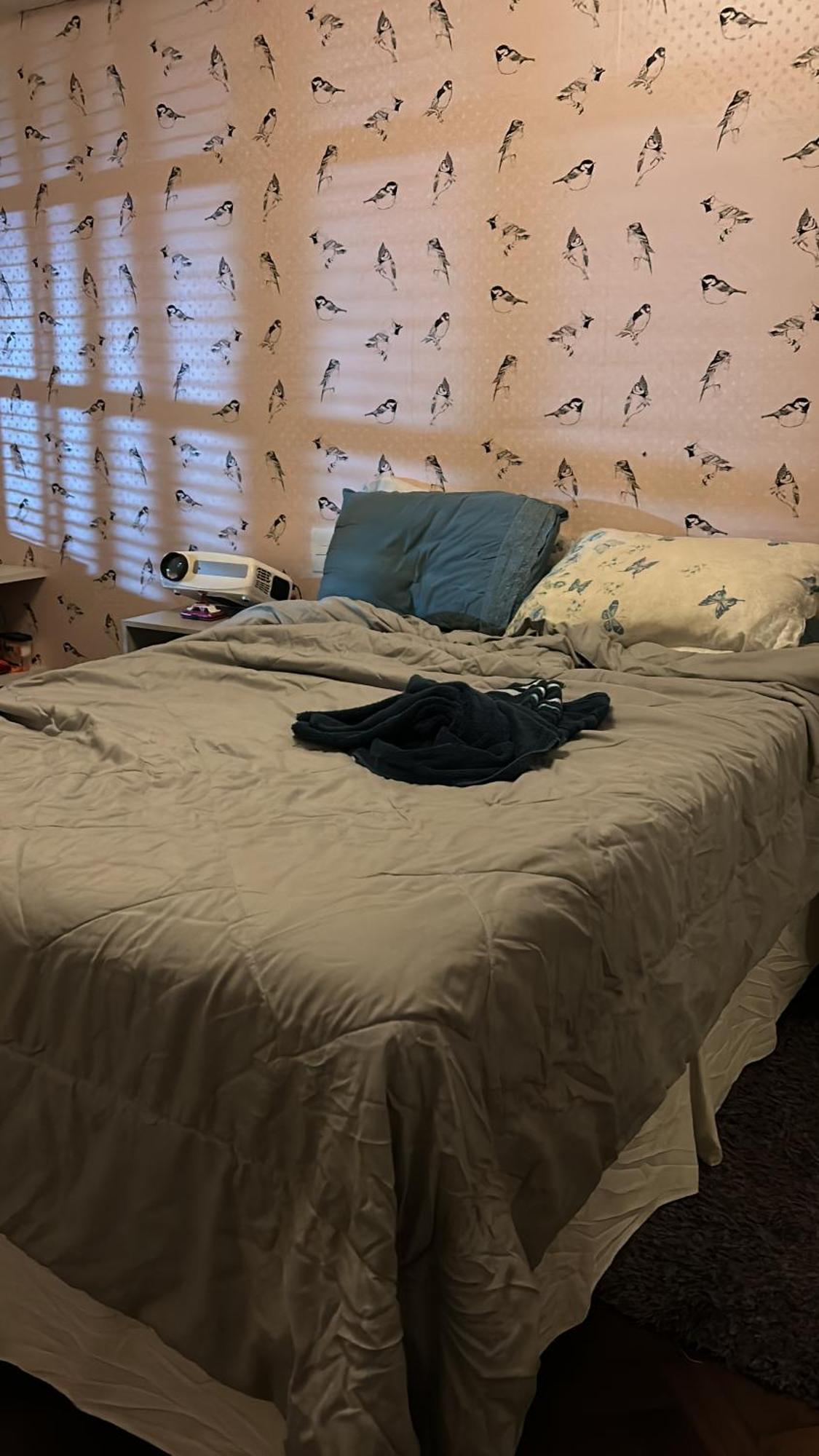 Apartamento Casa Completa Em Botafogo