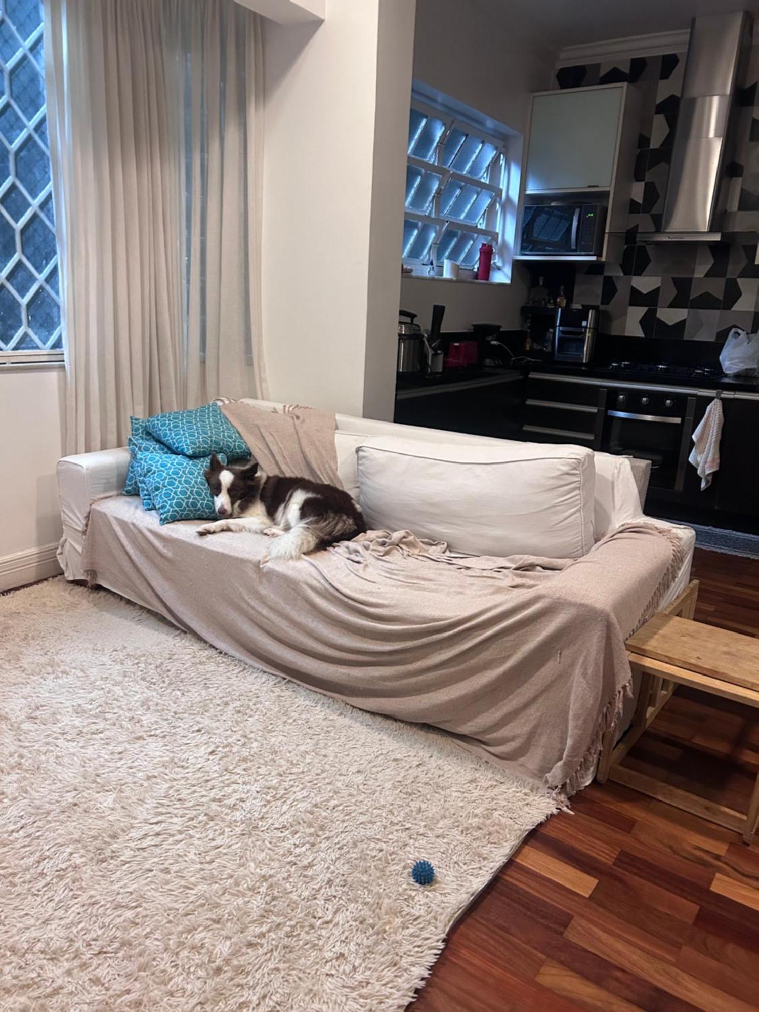 Apartamento Casa Completa Em Botafogo Rio de Janeiro
